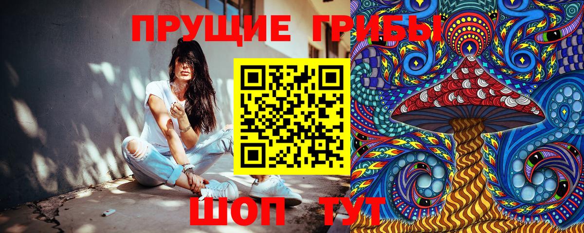 Выборг  где продают   Вход с VPN  Галлюциногенные грибы MAGIC MUSHROOMS 